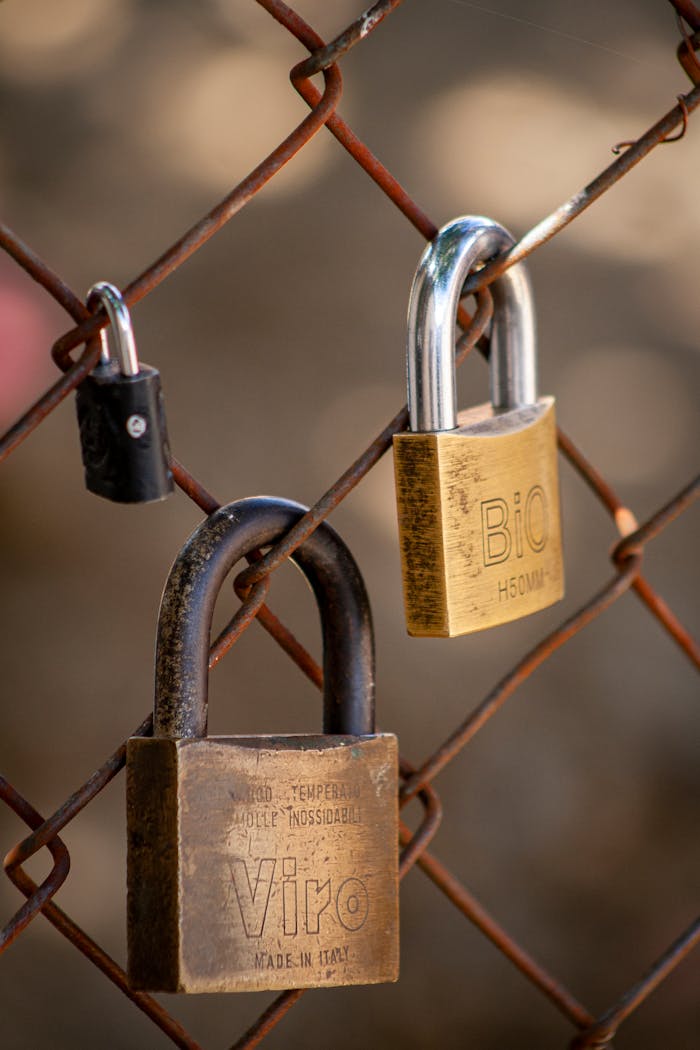 Services Detailed view of various padlocks secured to a rusted chain link fence highlighting security and resilience.